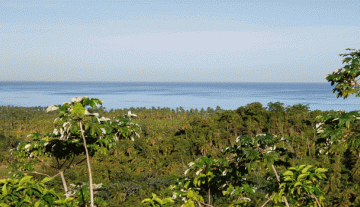 Sea-view wonderful plot of land
