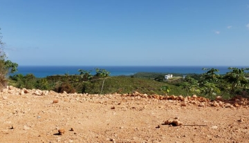 20190503_085917.JPG