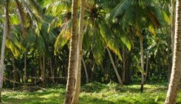 20220127_101938.jpg